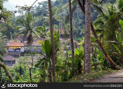 Beautiful landscape of a tropical Indonesian rainforest. Palm trees and a village near nature. Beautiful landscape of a tropical Indonesian rainforest. Palm trees and a village near