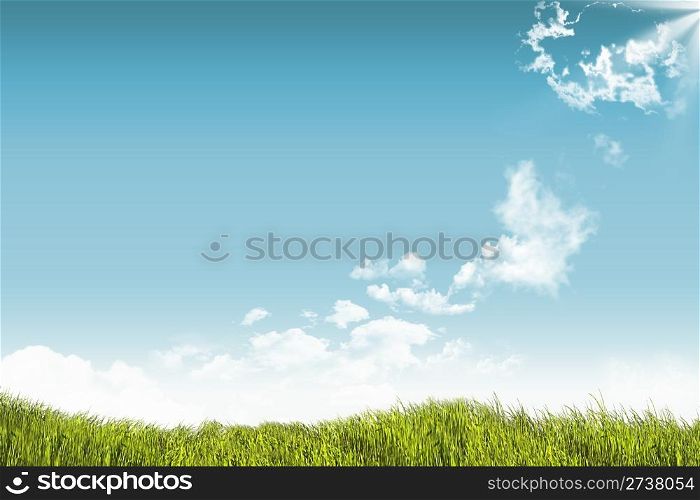 Beautiful landscape of blue sky and field