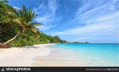 Beautiful landscape of blue sky coconut sea sand and waves on the beach during summer at Koh Miang island in Mu Ko Similan National Park, Phang Nga province, Thailand, 16:9 widescreen