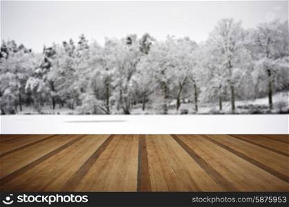 Beautiful landscape of glistening frost and snow covered trees with wooden planks floor