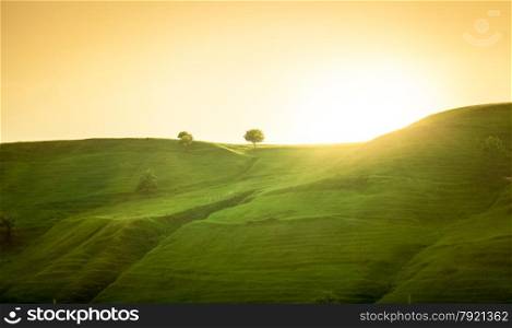 Beautiful landscape of green hills at sunrise