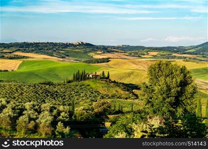 Beautiful landscape of green hilly Tuscan Field in summer with farm house, cypresses tree and the agricultural field in Valdorcia, Italy