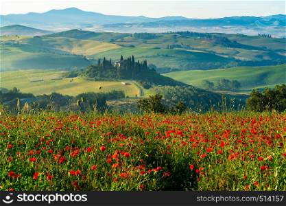 Beautiful landscape of hilly Tuscany in Italy in the summer with the red poppy field, farm house, cypresses tree and green agricultural field