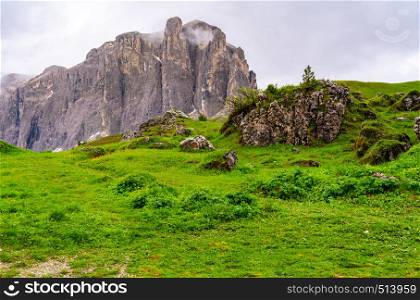 Beautiful landscape of Limestone Mountain at Dolomites with the green meadow, rocky hill and the field of yellow flowers at South Tyrol Region in Italt