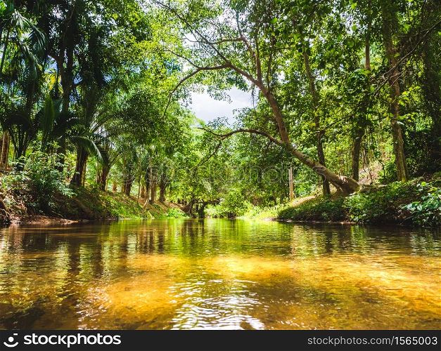 Beautiful landscape of mountain stream in the forest at Suan Phueng, Ratchaburi, Thailand.