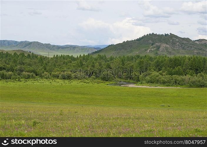 beautiful landscape of mountains among trees and plants