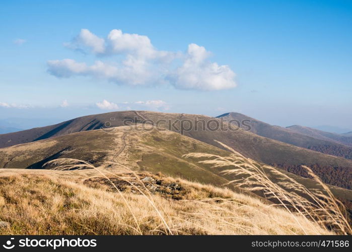 Beautiful landscape of mountains, yellow grass hill, blue sky with clouds. Amazing view from the hill on the mountain valley at sunny day. Nature and travel background.