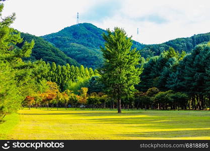 Beautiful Landscape of Nami Isalnd Korea