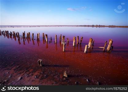 beautiful landscape of pink salt lake at dawn. Wooden remains of the destroyed dam. One of the Ukrainian Nature Wonders