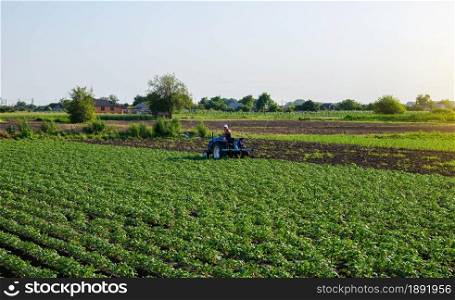 Beautiful landscape of potato plantation and a cultivator tractor. Agroindustry and agribusiness. Field work cultivation. Farm machinery. Crop care, soil quality improvement. Plowing, loosening ground
