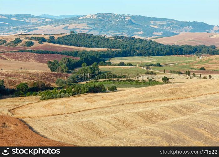 Beautiful landscape of summer countryside with wheat field and olives tree, Italy.