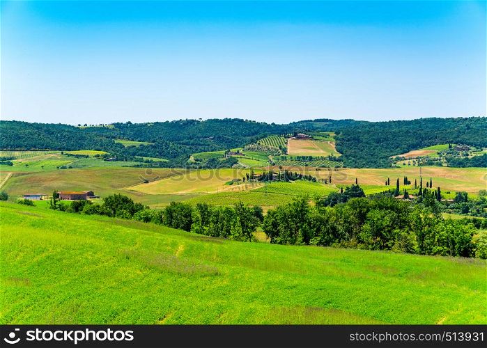 Beautiful landscape of summer in hilly Tuscany, Italy with the green pasture, cultivated land and small village