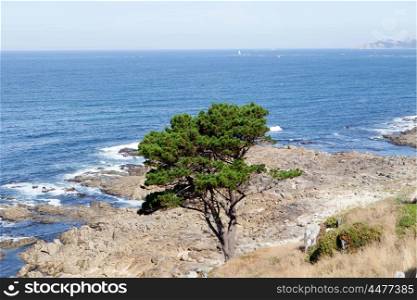 Beautiful landscape of the coast of Bayona. City in northwestern Spain