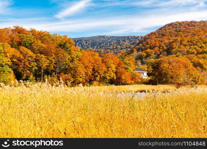 Beautiful landscape of the forest on the mountain at Onuma Pond with colorful foliage of autumn season and the blue sky at Onuma Pond Walking Trail in Towada Hachimantai National Park, Akita Prefecture, Japan.