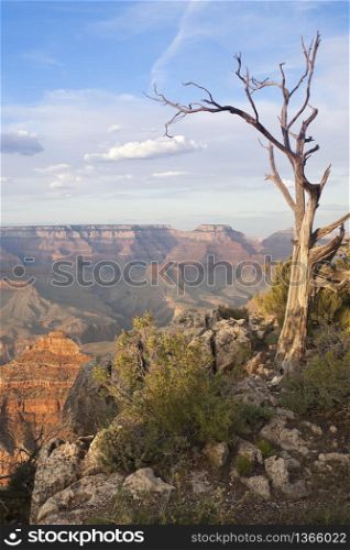 Beautiful Landscape of the Grand Canyon, Arizona.