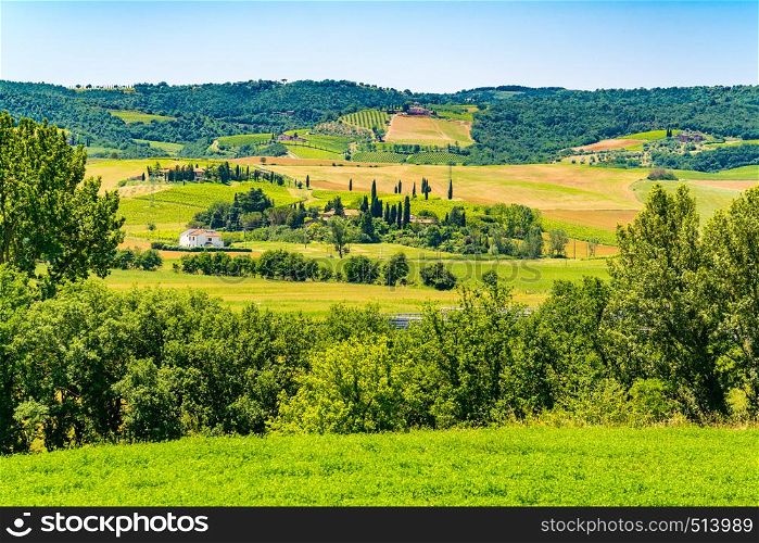 Beautiful landscape of the green hilly Tuscany with the farm house the cypress trees and the vineyard in sunny day in Valdorcia Italy