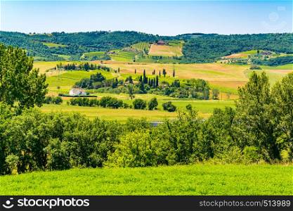 Beautiful landscape of the green hilly Tuscany with the farm house the cypress trees and the vineyard in sunny day in Valdorcia Italy