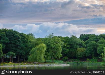 Beautiful landscape of trees and pond at Leases Park in Newcastle, UK
