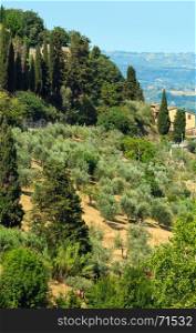 Beautiful landscape of Tuscany summer countryside from Pienza town walls. Typical for the Italy region Toscana hills, olives garden, vineyards, cypress passes.