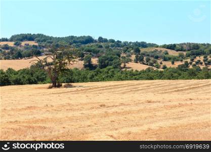 Beautiful landscape of Tuscany summer countryside in Italy. Typical for the region Toscana farm house, hills, wheat field, olives garden.