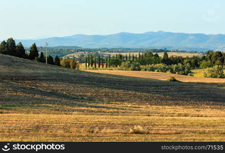 Beautiful landscape of Tuscany summer evening countryside in Italy. Typical for the region Toscana hills, wheat field, olives garden, vineyard.