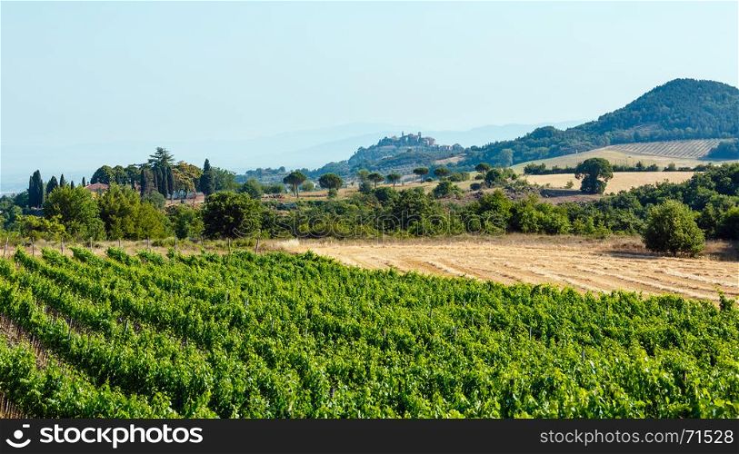 Beautiful landscape of Tuscany summer morning countryside in Montepulciano region. Typical for the Italy region Toscana hills, wheat field, olives garden, vineyards, cypress passes.