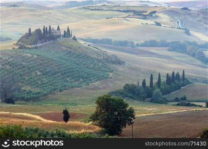 Beautiful landscape of Tuscany summer morning sunrise countryside in Italy. Typical for the region Toscana farm house, hills, wheat field, olives garden, vineyard.
