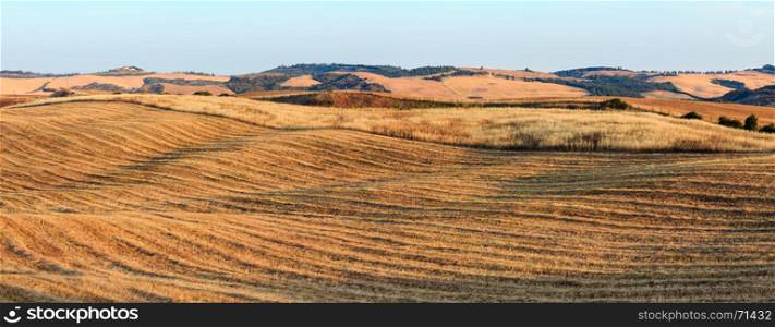 Beautiful landscape of Tuscany summer morning sunrise countryside in Italy. Typical for the region Toscana farm house, hills, wheat field, olives garden, vineyard. Two shots stitch panorama.