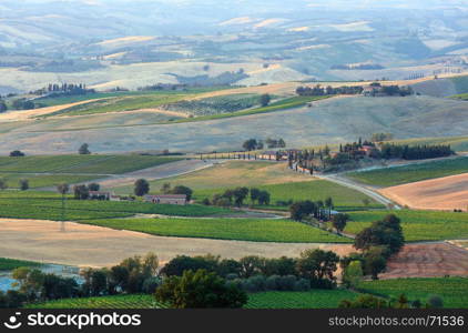 Beautiful landscape of Tuscany summer morning sunrise countryside in Italy. Typical for the region Toscana hills, wheat field, olives garden, vineyard.