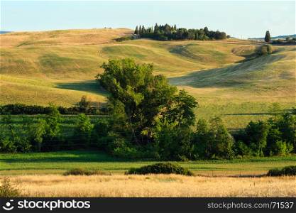 Beautiful landscape of Tuscany summer morning sunrise countryside in Italy. Typical for the region Toscana hills, wheat field.