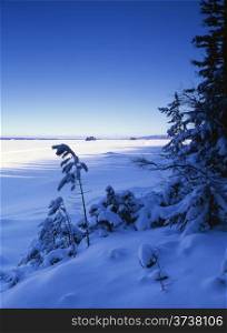 Beautiful landscape of winter forest