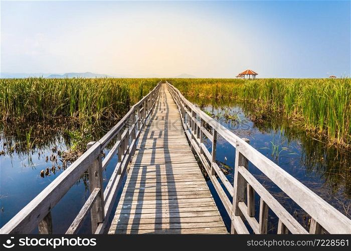 Beautiful landscape of wooden bridge walkway in swamp with grass field with blue sky mountain range background in Khao Sam Roi Yot National Park, Kui Buri District, Prachuap Khiri Khan, Thailand
