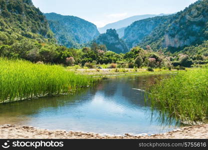 Beautiful landscape on the lake coast with flowers, green grass and mountains on background
