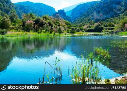 Beautiful landscape on the lake coast with flowers, green grass and mountains on background