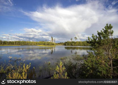 Beautiful landscape on the shore of lake forest.. Summer landscape with a rainbow.