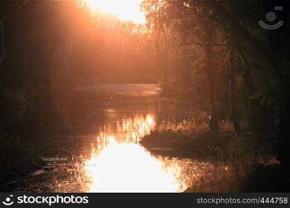beautiful landscape - river in the forest at sunset