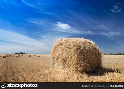 beautiful landscape - round bales in the field against a bright blue sky