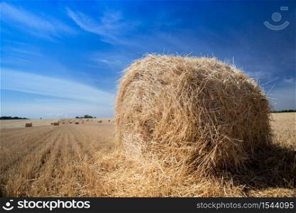 beautiful landscape - round bales in the field against a bright blue sky