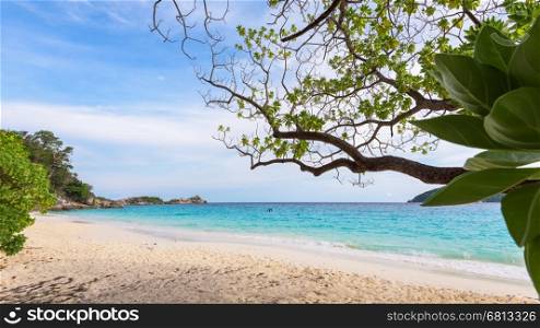 Beautiful landscape sky and blue sea under a green tree at beach of Koh Miang island is a attractions famous for diving in Mu Ko Similan National Park, Phang Nga, Thailand, 16:9 widescreen