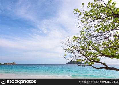 Beautiful landscape sky and blue sea under a green tree at beach of Koh Miang island is a attractions famous for diving in Mu Ko Similan National Park, Phang Nga Province, Thailand