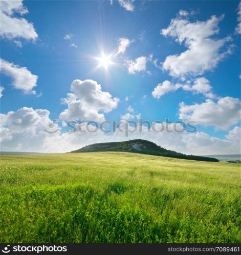 Beautiful landscape spring meadow. Nature composition.