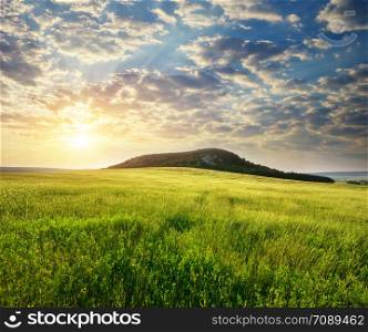Beautiful landscape spring meadow. Nature composition.