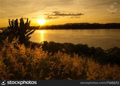 Beautiful landscape sunset river yellow sky at Mekong River and silhouette grass field on riverside