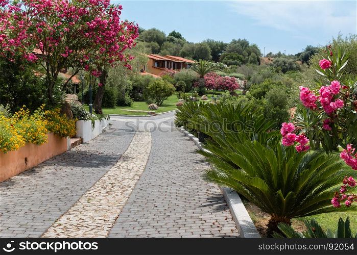 Beautiful Landscape Walkway in Garden and Residential Holiday Architecture