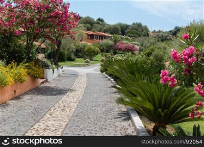 Beautiful Landscape Walkway in Garden and Residential Holiday Architecture