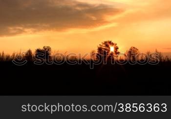 Beautiful landscape with a sunset. In the evening on a farm.