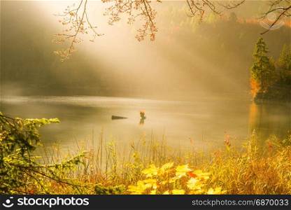 Beautiful landscape with autumn colors, sun rays and mist over lake and forest, in Fussen, Germany. Perfect for an autumn concept.