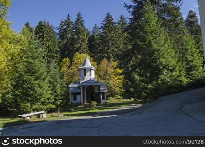 Beautiful landscape with autumnal venerable pine tree and old chapel, located in Old park Tsarska or Royal Bistritsa near by resort Borovets, Rila mountain, Bulgaria