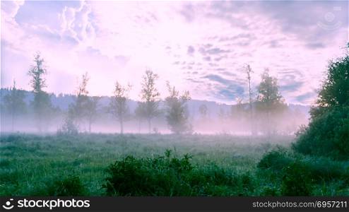 Beautiful landscape with dawn mist and morning dew. Beautiful landscape with dawn mist and morning dew. Summer idyllic beautiful landscape.
