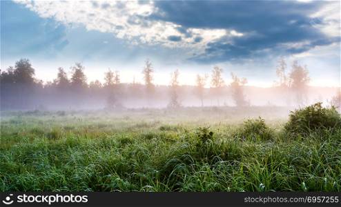 Beautiful landscape with dawn mist and morning dew selective foc. Beautiful landscape with dawn mist and morning dew. Summer idyllic beautiful landscape. Selective focus.